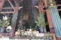 Nara Park 奈良公園