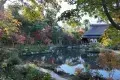 Nara Park 奈良公園