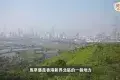 馬草壟