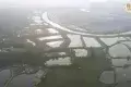 馬草壟