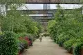 Castlefield Urban Heritage Park 卡斯爾菲爾德城市遺產公園