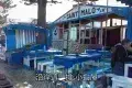 Restaurants de Grillade de Poissons