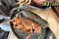 Restaurants de Grillade de Poissons