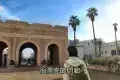 Medina of Essaouira 索維拉舊城