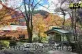 京都 高雄