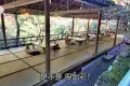 京都 高雄