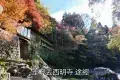 京都 高雄