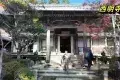 京都 高雄