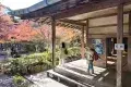 京都 高雄
