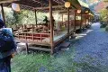 京都 高雄