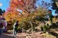 京都 高雄