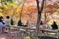 京都 高雄