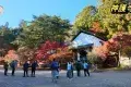 京都 高雄
