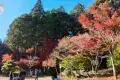 京都 高雄