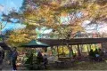京都 高雄