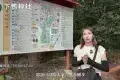 下鴨神社