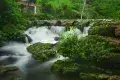 荔波茂蘭自然保護區