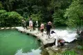 荔波茂蘭自然保護區