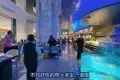 頂界•全球蒸氣海鮮自助（華強北中航城店）