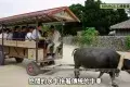 石垣島