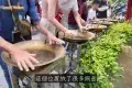 鼎湖山景區