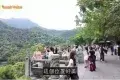 鼎湖山景區