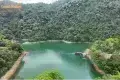 鼎湖山景區