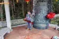 鼎湖山景區