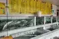 賣魚仔