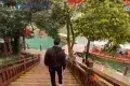 蝴蝶谷