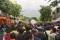 大理三月街集市