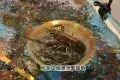 曼格姿造活海鮮火鍋自助(益田假日廣場店)