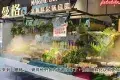 曼格姿造活海鮮火鍋自助(益田假日廣場店)