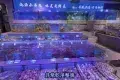 青蓬海上撈蒸品海鮮城(萬象城店)