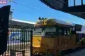 Indian Pacific 印度太平洋號