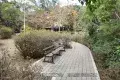 堅尼地城行路上山頂