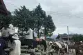玉湖村景區