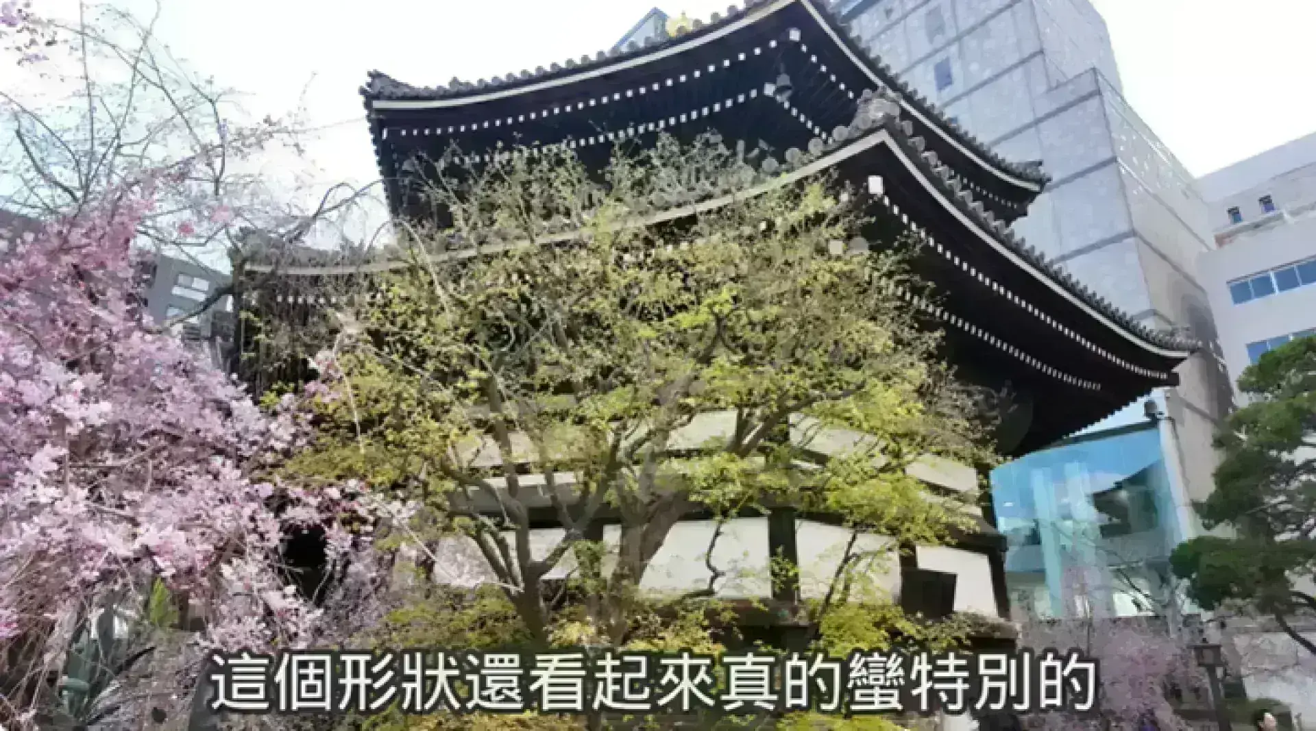 六角堂