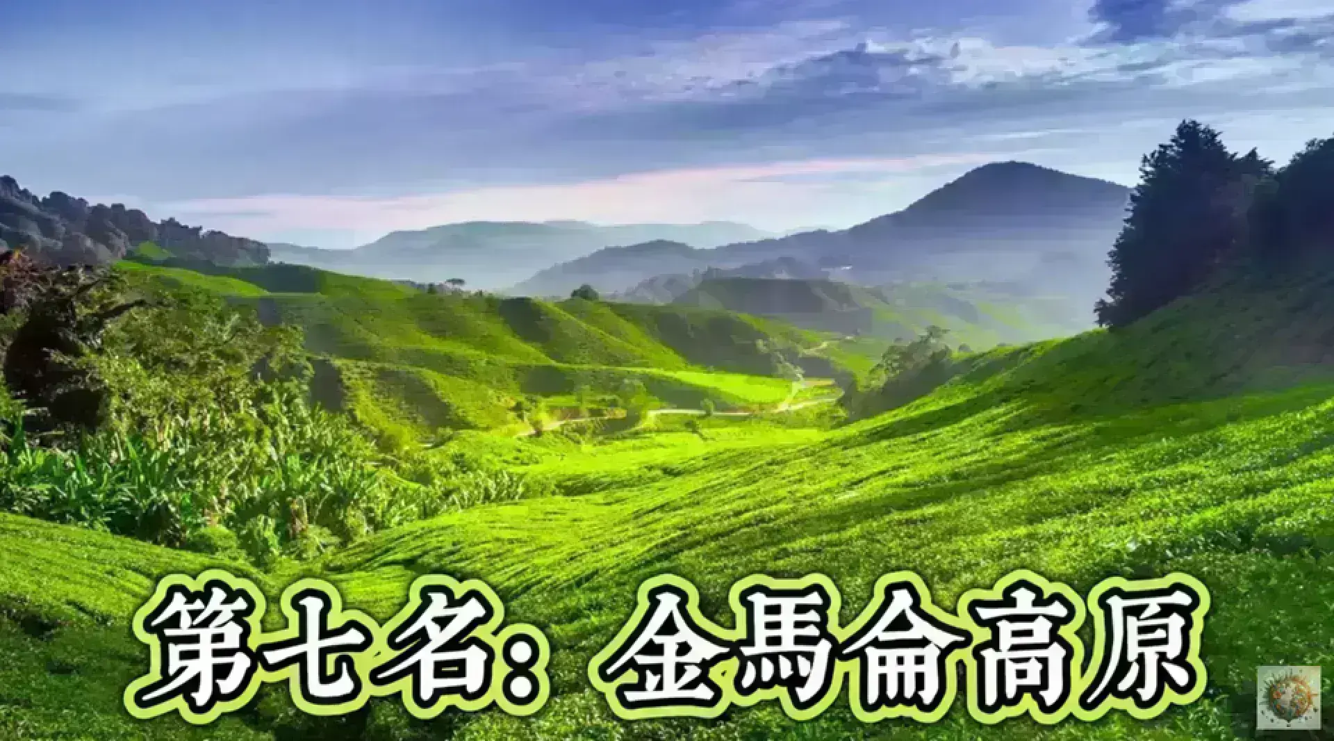 Cameron Highlands 金馬崙高原