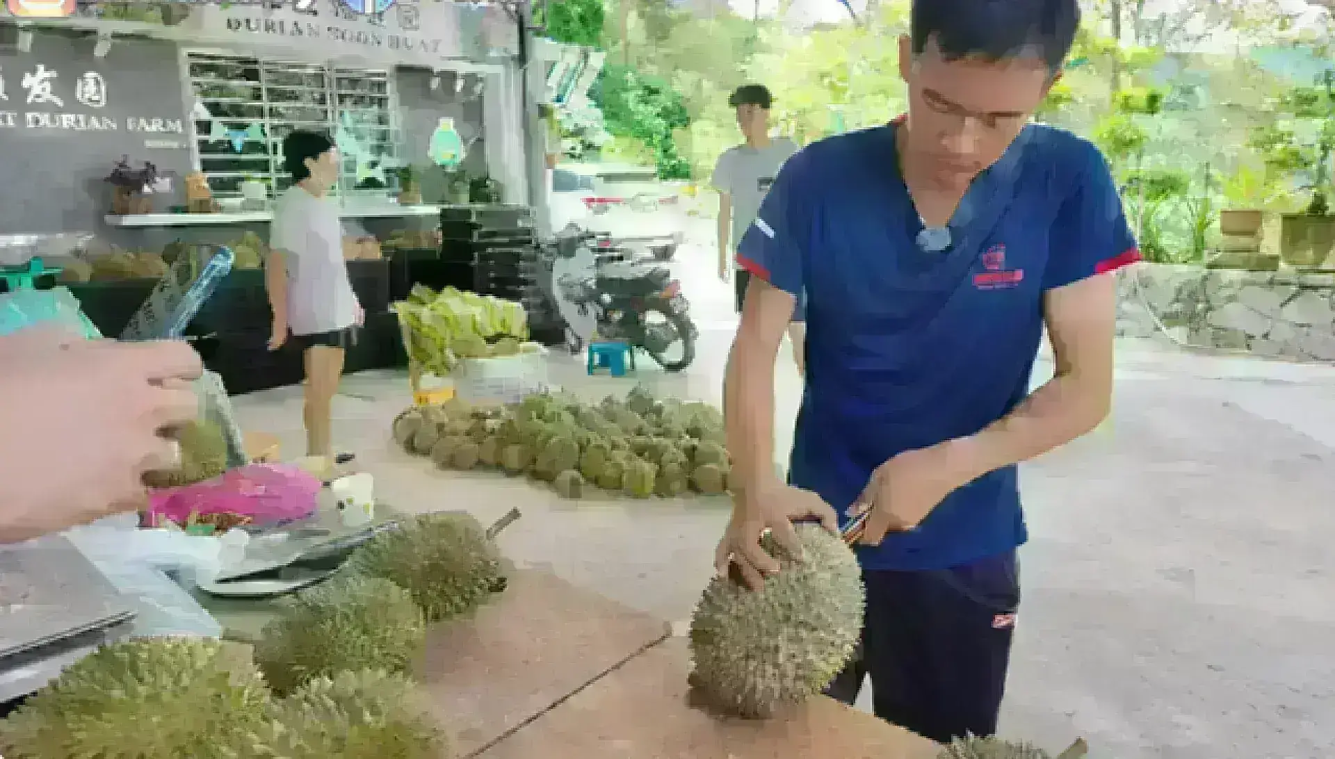 Durian Hill Penang 榴槤山