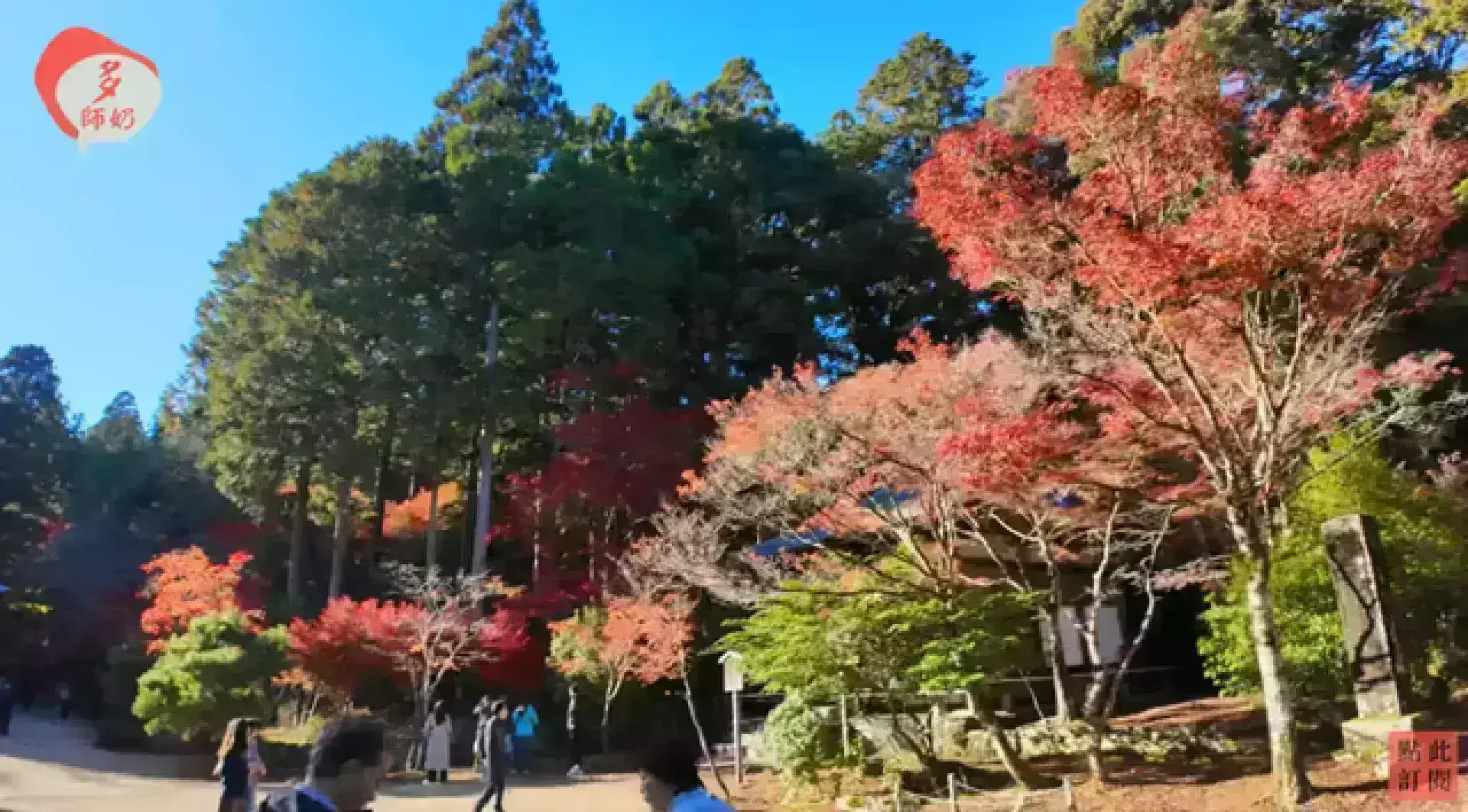 京都 高雄