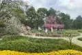 花溪公園