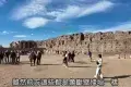Edfu Temple 埃德富神廟