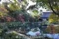 Isuien Garden and Neiraku Museum 依水園・寧楽美術館
