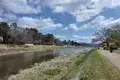 Kamo River 鴨川