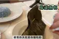 Bibik's Kitchen 米其林娘惹菜