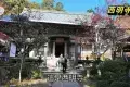 京都 高雄