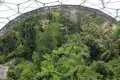 Eden Project