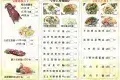 鮮味蒸滾鍋