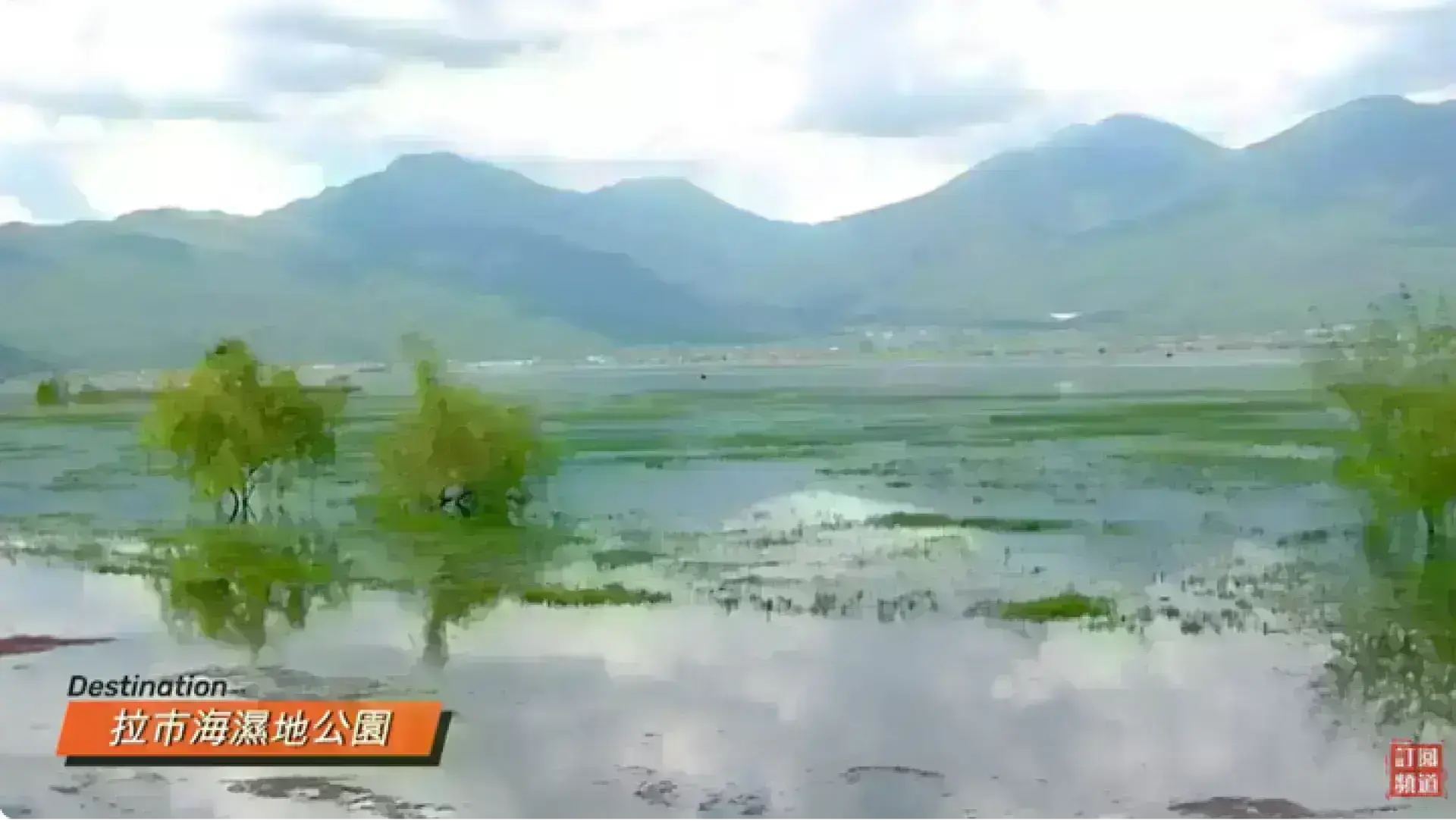 拉市海濕地公園